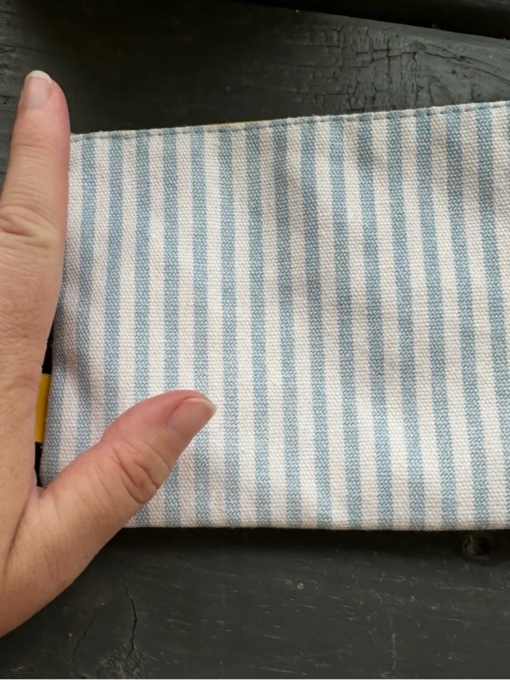Ipsy Striped Blue and White Canvas Pouch with Peach on Zipper- NEW!